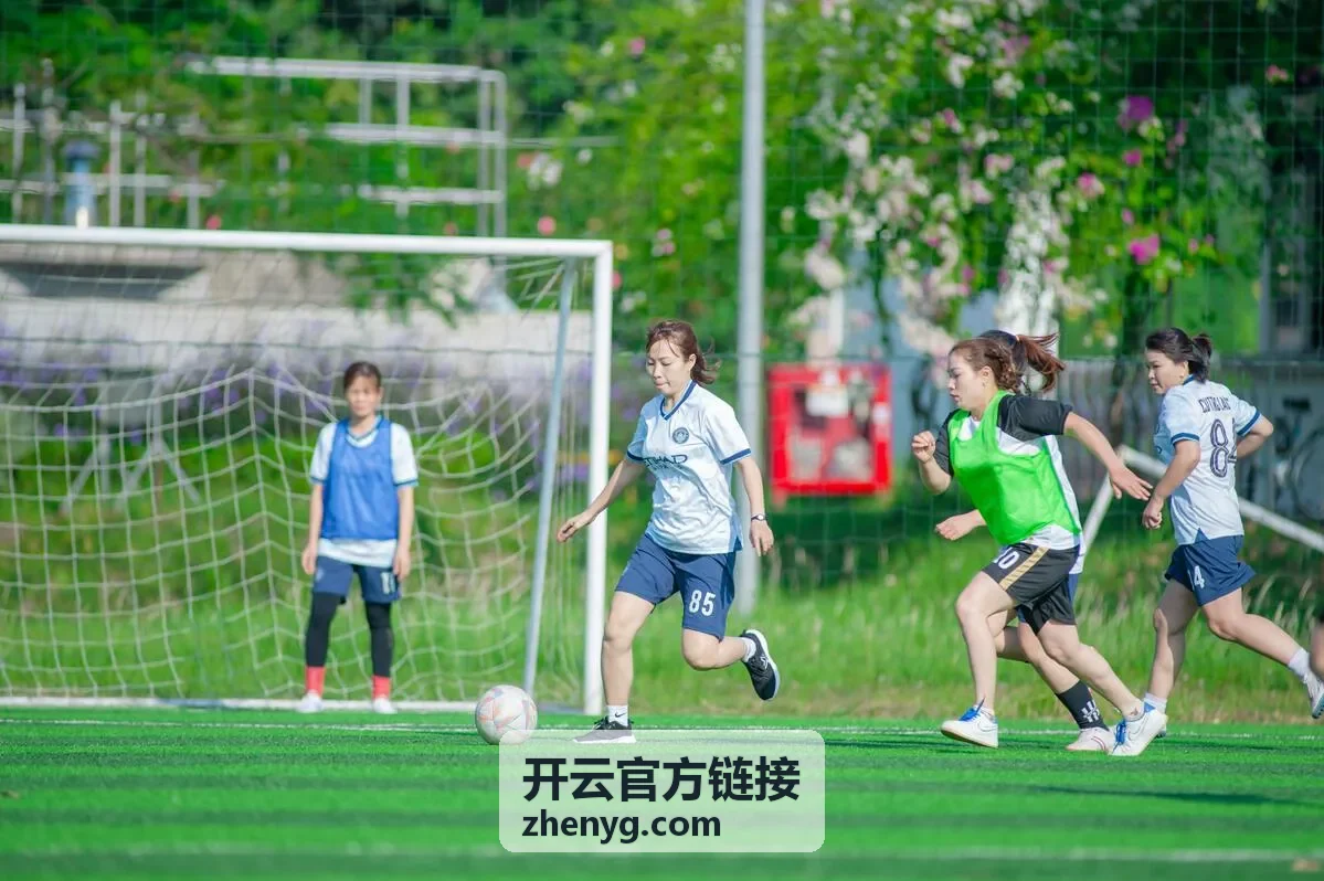 开云官方链接入口导航页面示意图