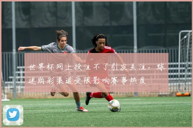 世界杯网上投注不了引发关注，球迷购彩渠道受限影响赛事热度
