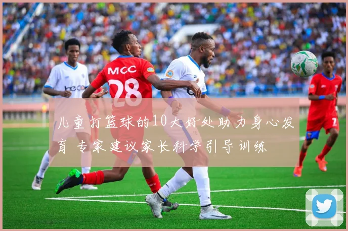 儿童打篮球的10大好处助力身心发育 专家建议家长科学引导训练