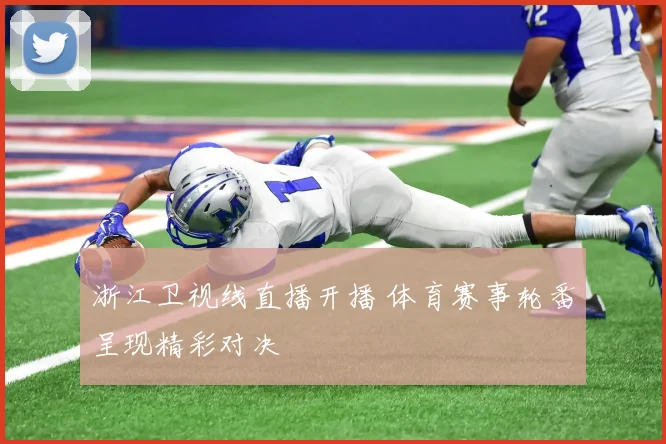 浙江卫视线直播开播 体育赛事轮番呈现精彩对决