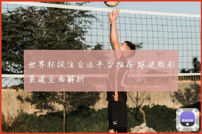 世界杯投注合法平台推荐 球迷购彩渠道全面解析