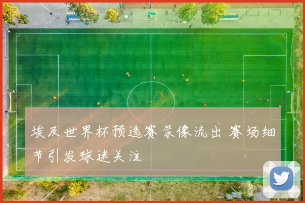 埃及世界杯预选赛录像流出 赛场细节引发球迷关注