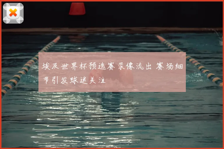 埃及世界杯预选赛录像流出 赛场细节引发球迷关注